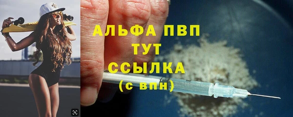 спиды Михайлов