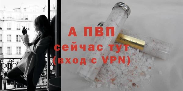 спиды Михайлов