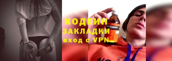 индика Бабаево