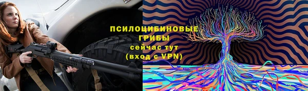 2c-b Михайловка