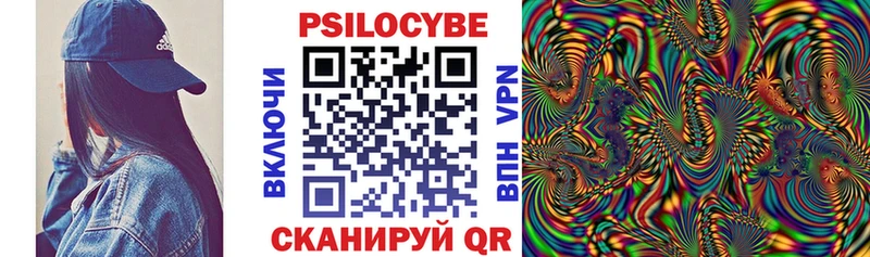 Галлюциногенные грибы Psilocybe  ссылка на мегу ссылки  Торопец 